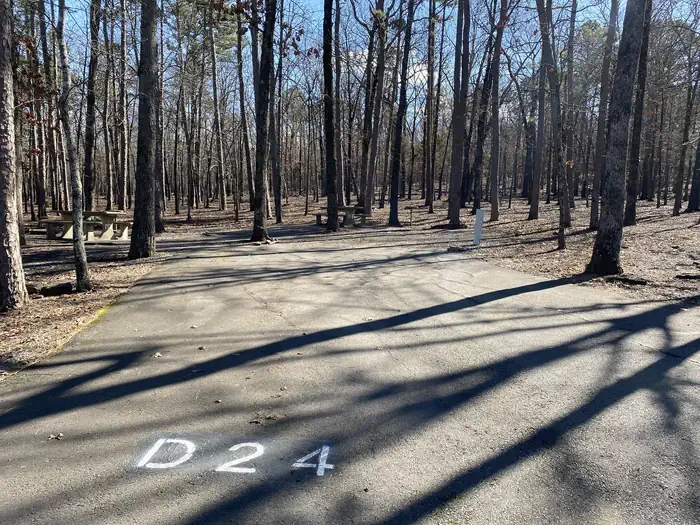 D24