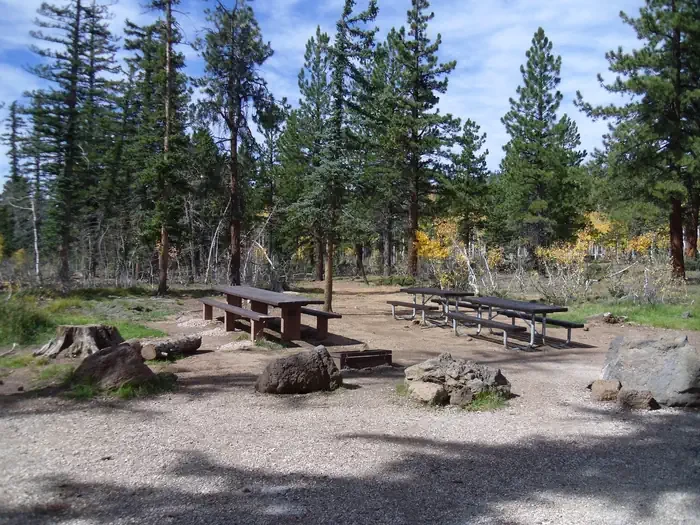 Duck Creek
