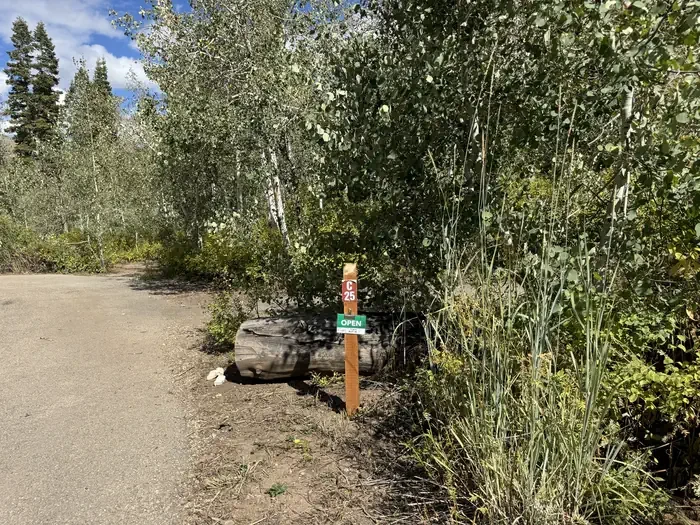 C25