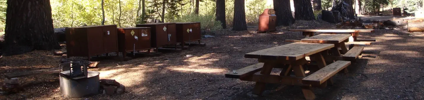 Agnew Meadows Group Camp