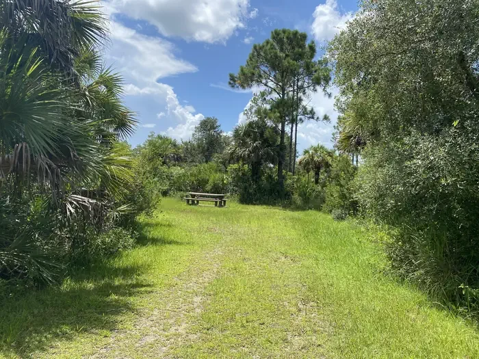 Bear Island Campground