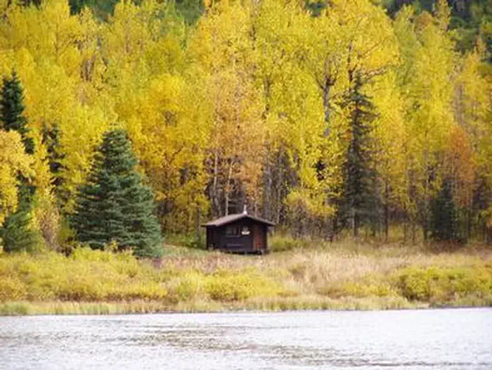 Swan Lake Cabin Seward