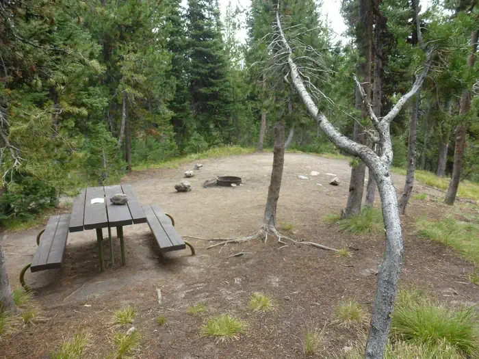 Lewis Lake site #32