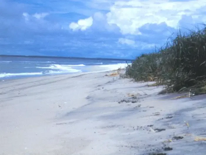 Assateague Island National Seashore Campground