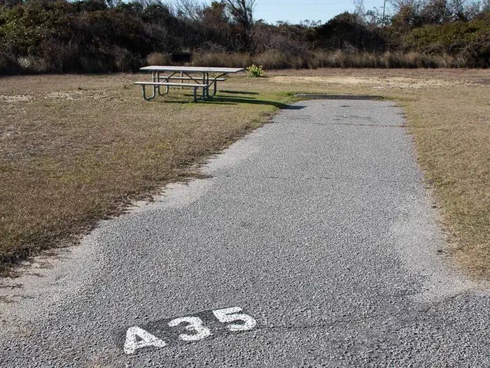 A035