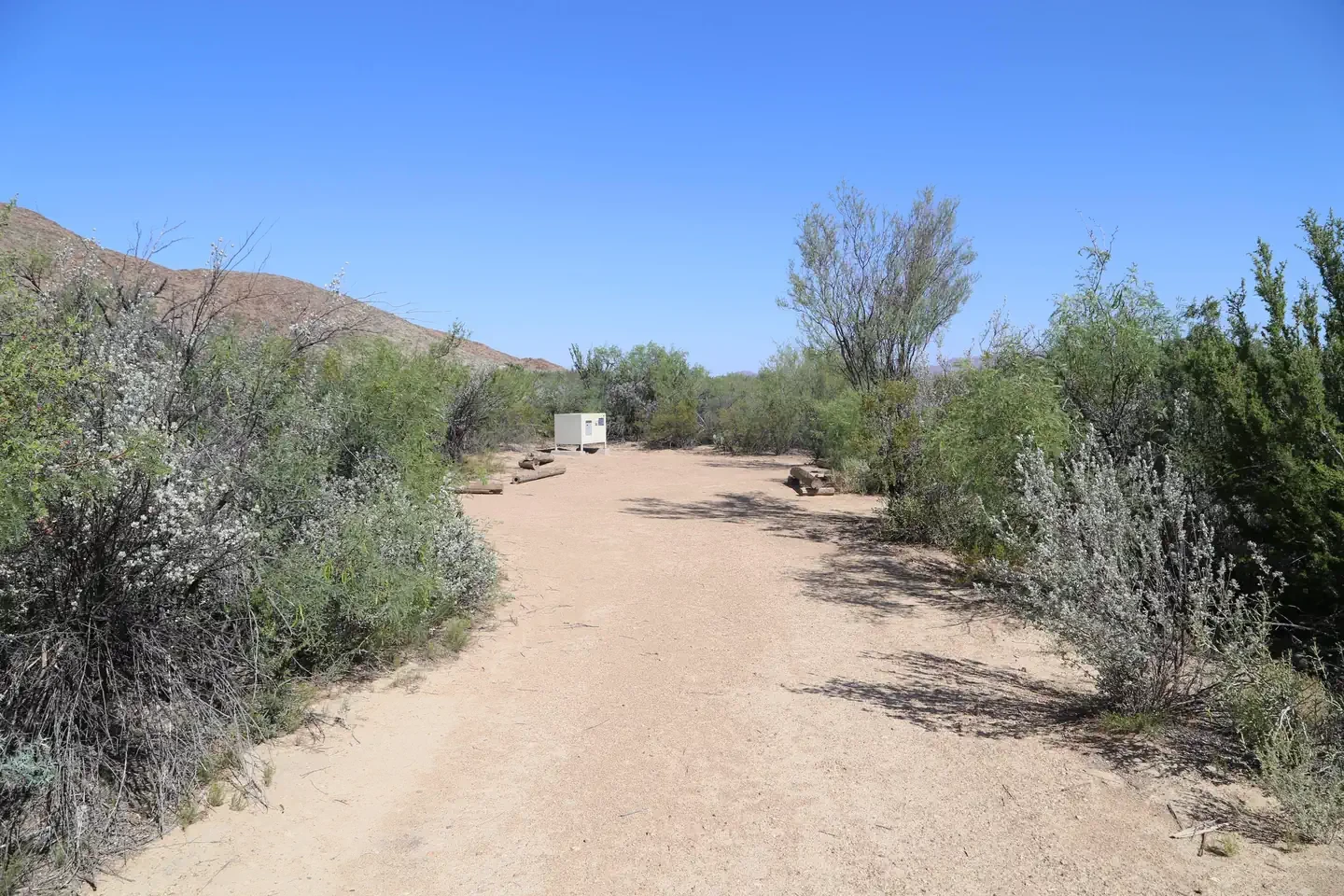 Grapevine Hills 4