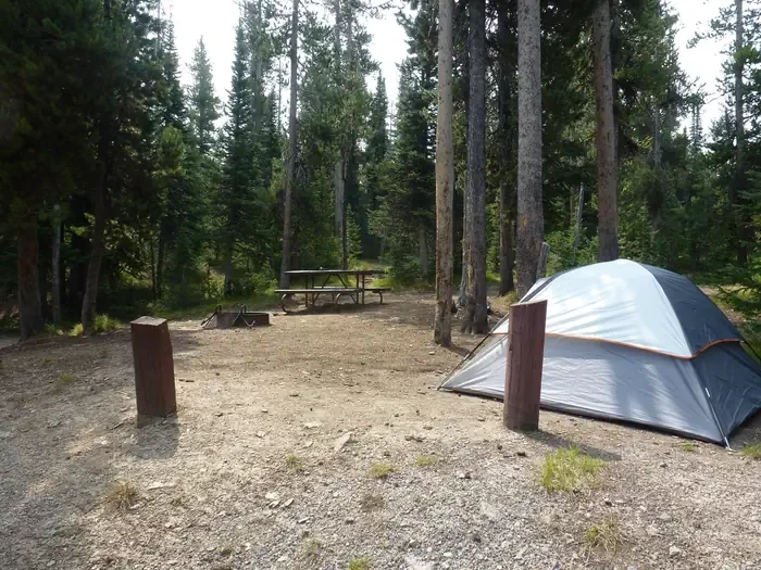 Lewis Lake site #62