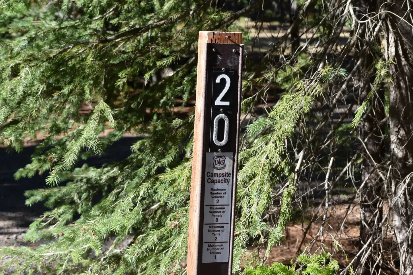 20