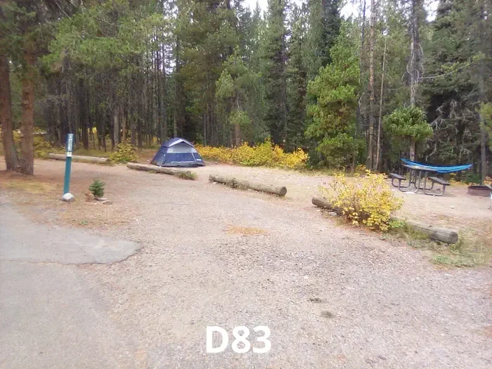 83