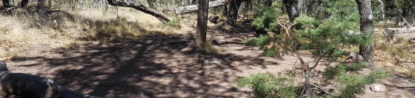 Boot Canyon 3