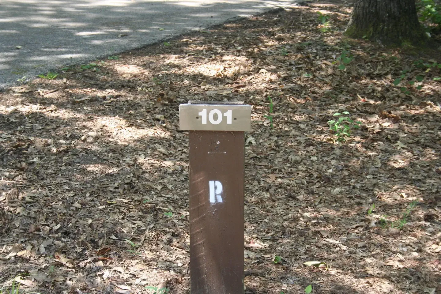 101