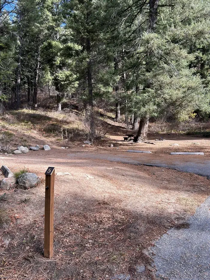 Hayfork Group Cg