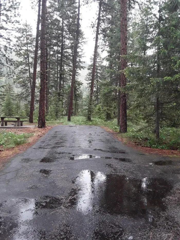 Quartz Flat Campground (MT)