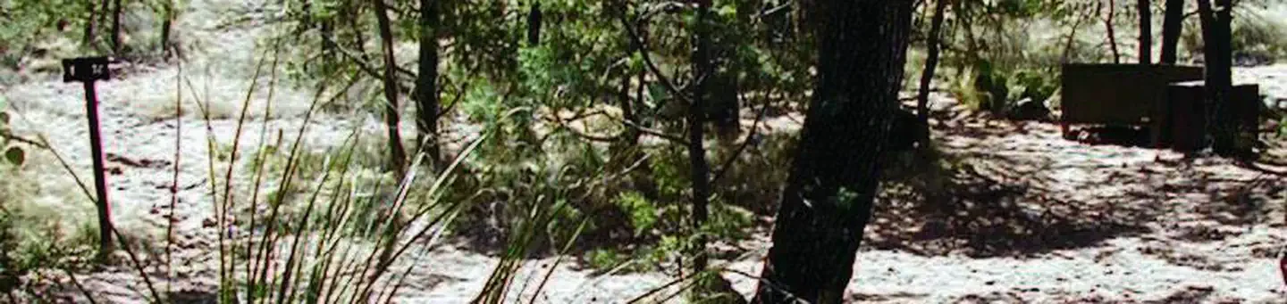 East Rim 9