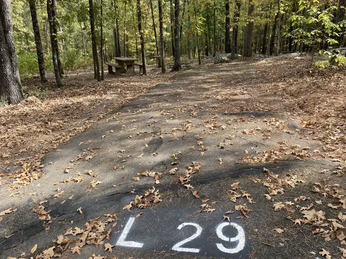 L29