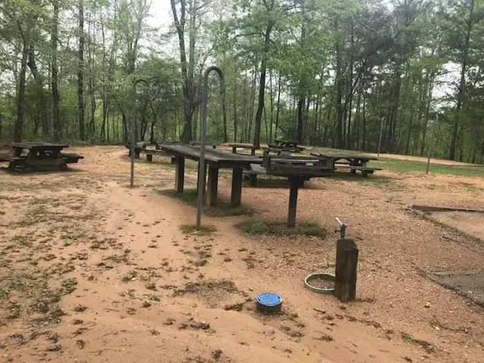 Acorn Camp