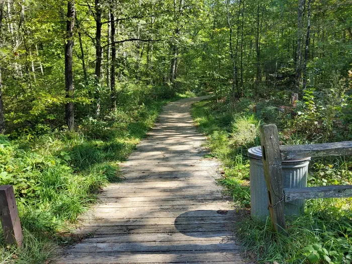 Pines Point Campground (MI)