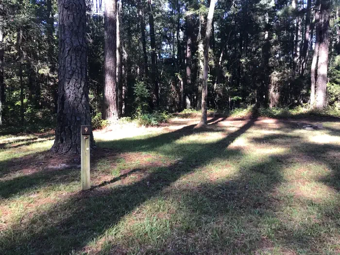 Site 09