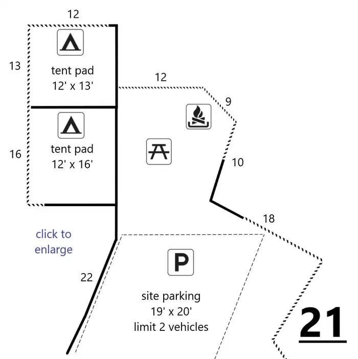 21