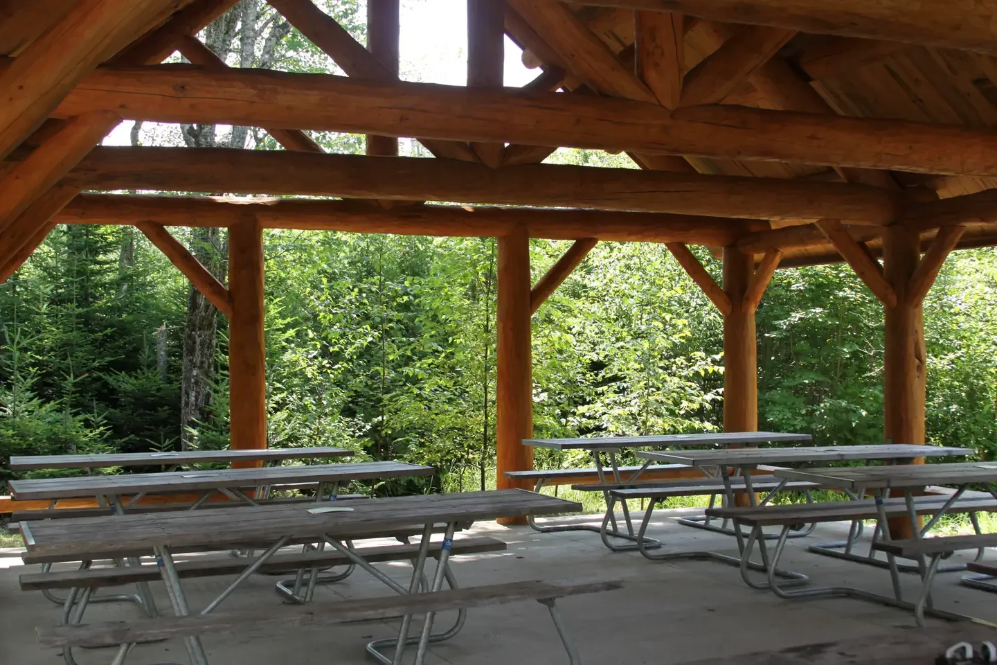 Schoodic Woods Campground
