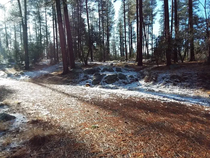 56