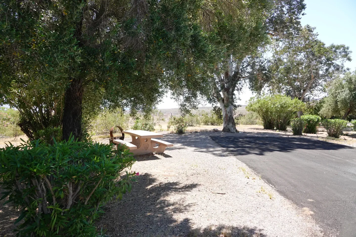 Site 19