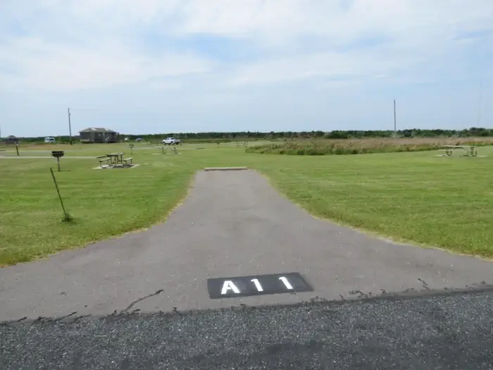 A011