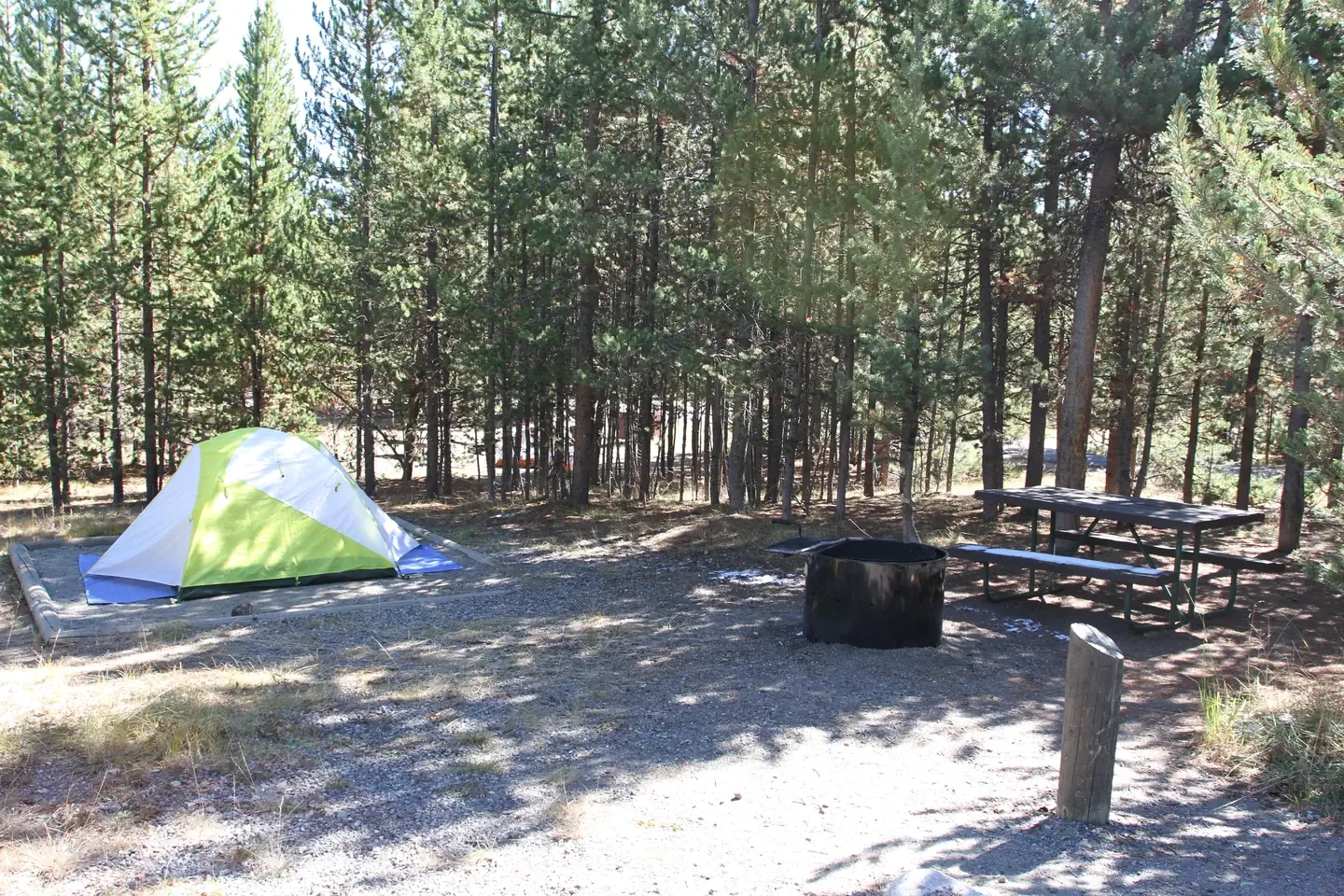 Indian Creek site #49