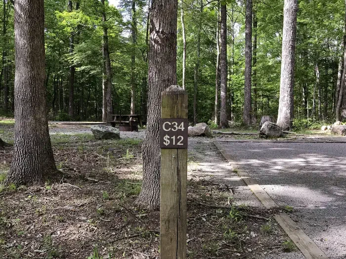 34