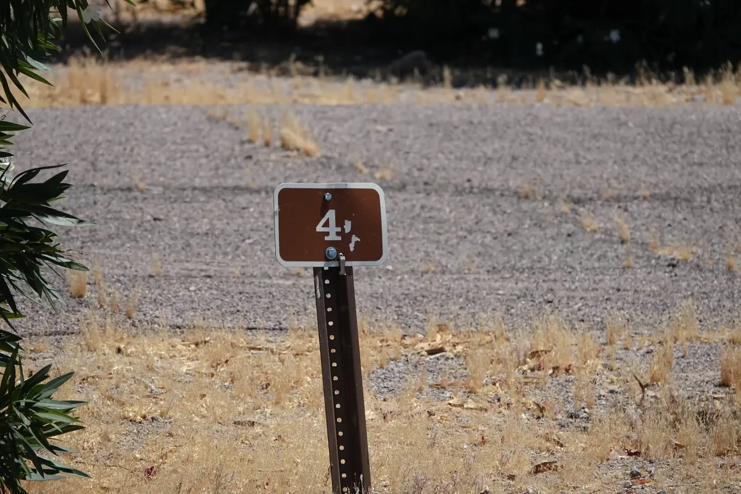 Site 4