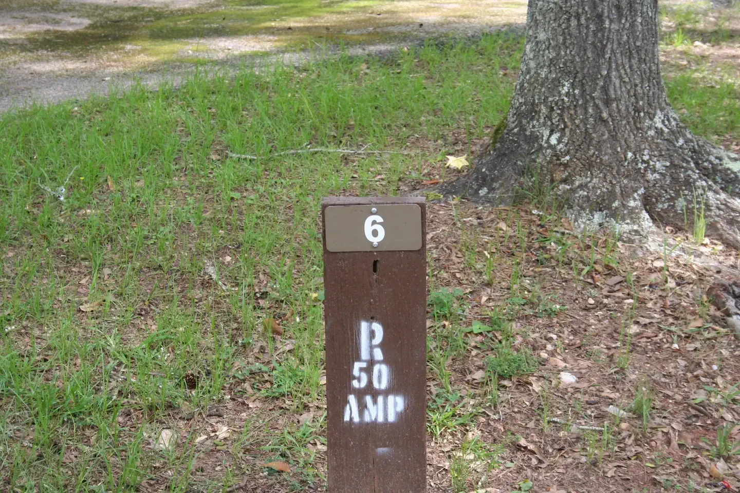 006