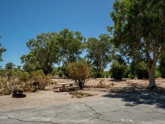 Site 29