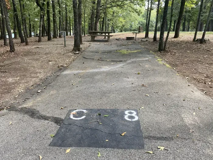 C08