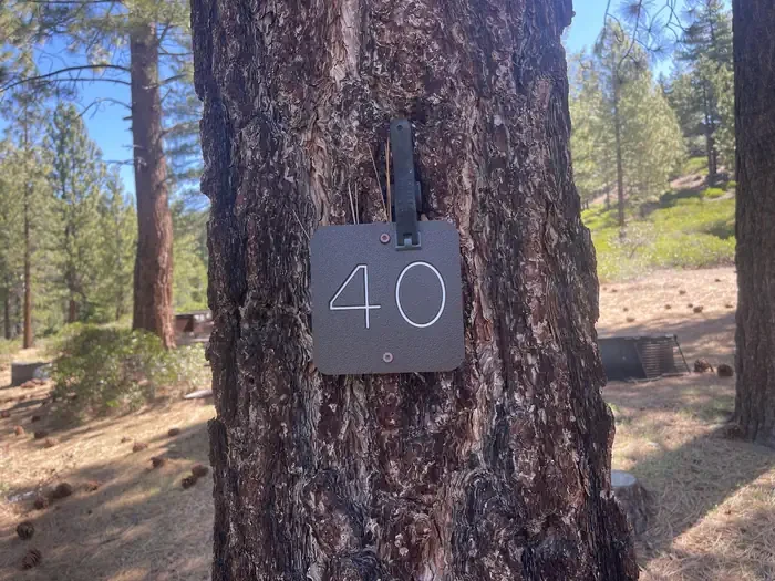 40