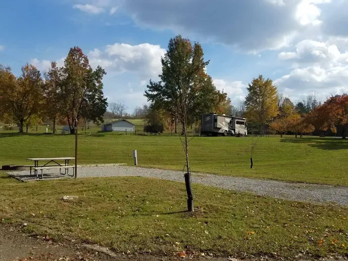 C22