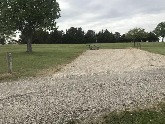 D24