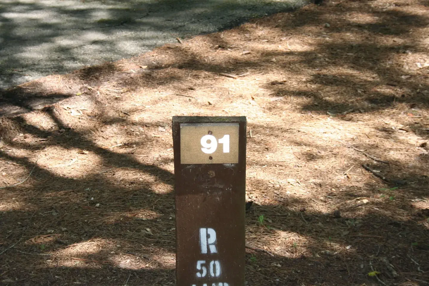 091