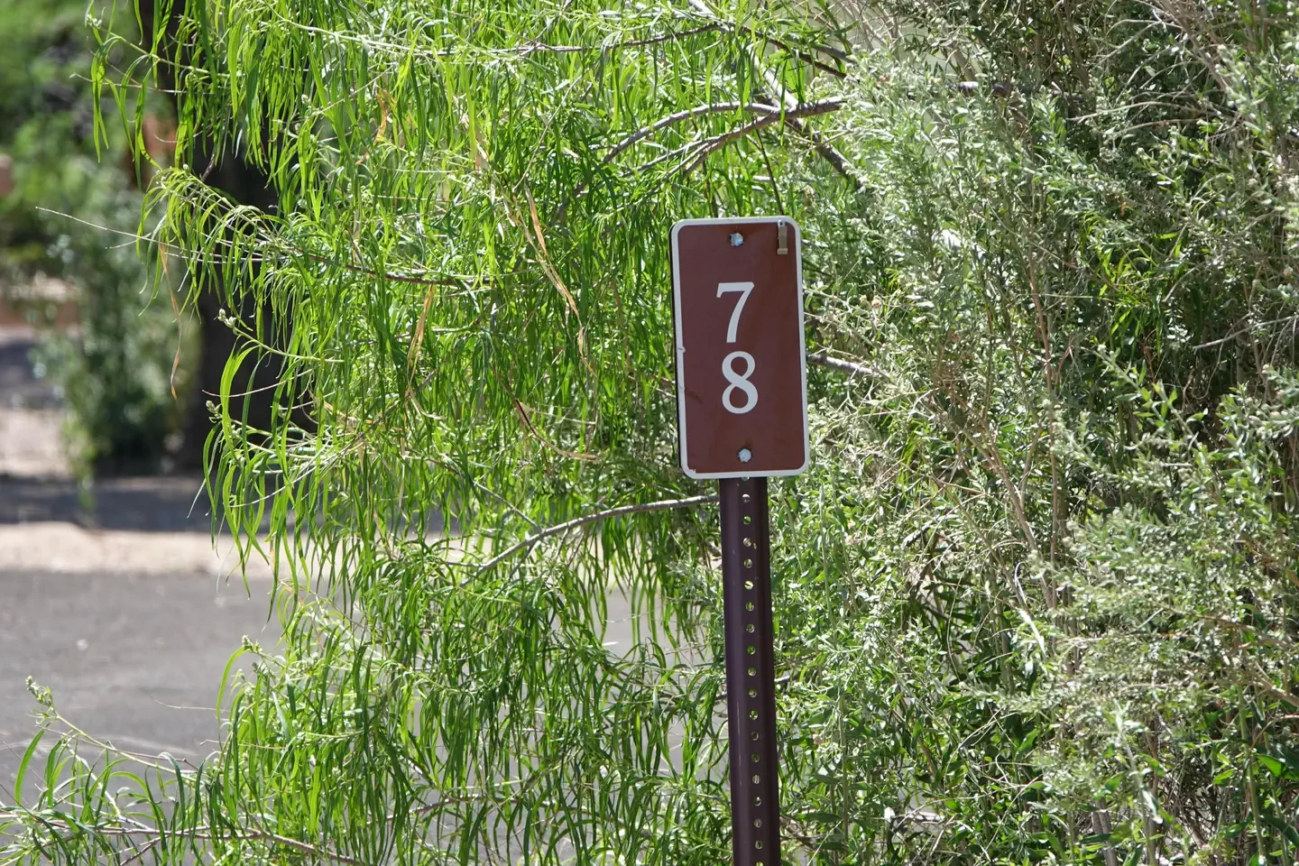 Site 78