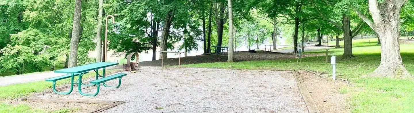 A29