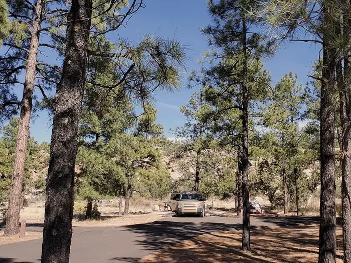 Juniper Campground (NM)
