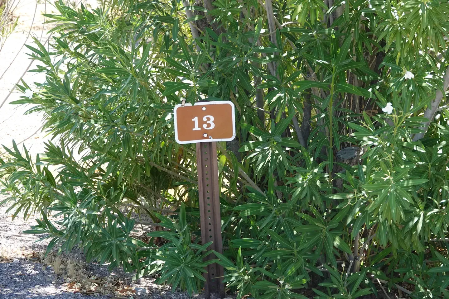 Site 13