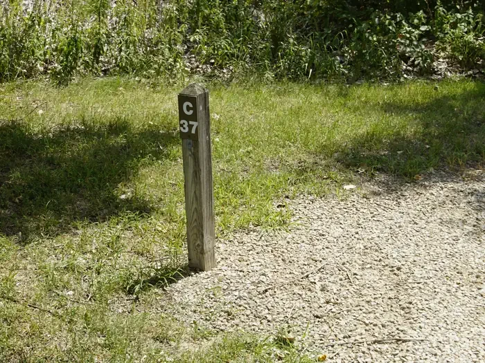 C37