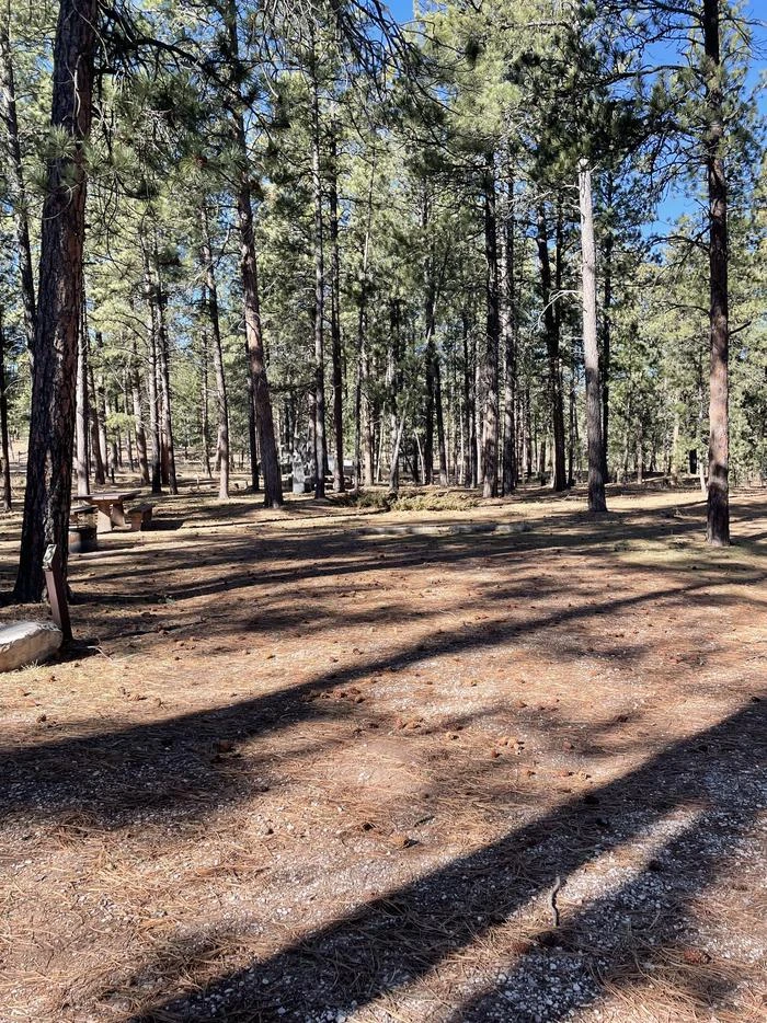 Bearlodge Campground