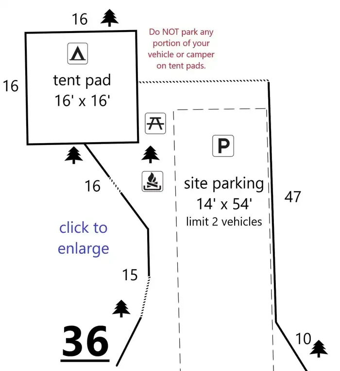 36