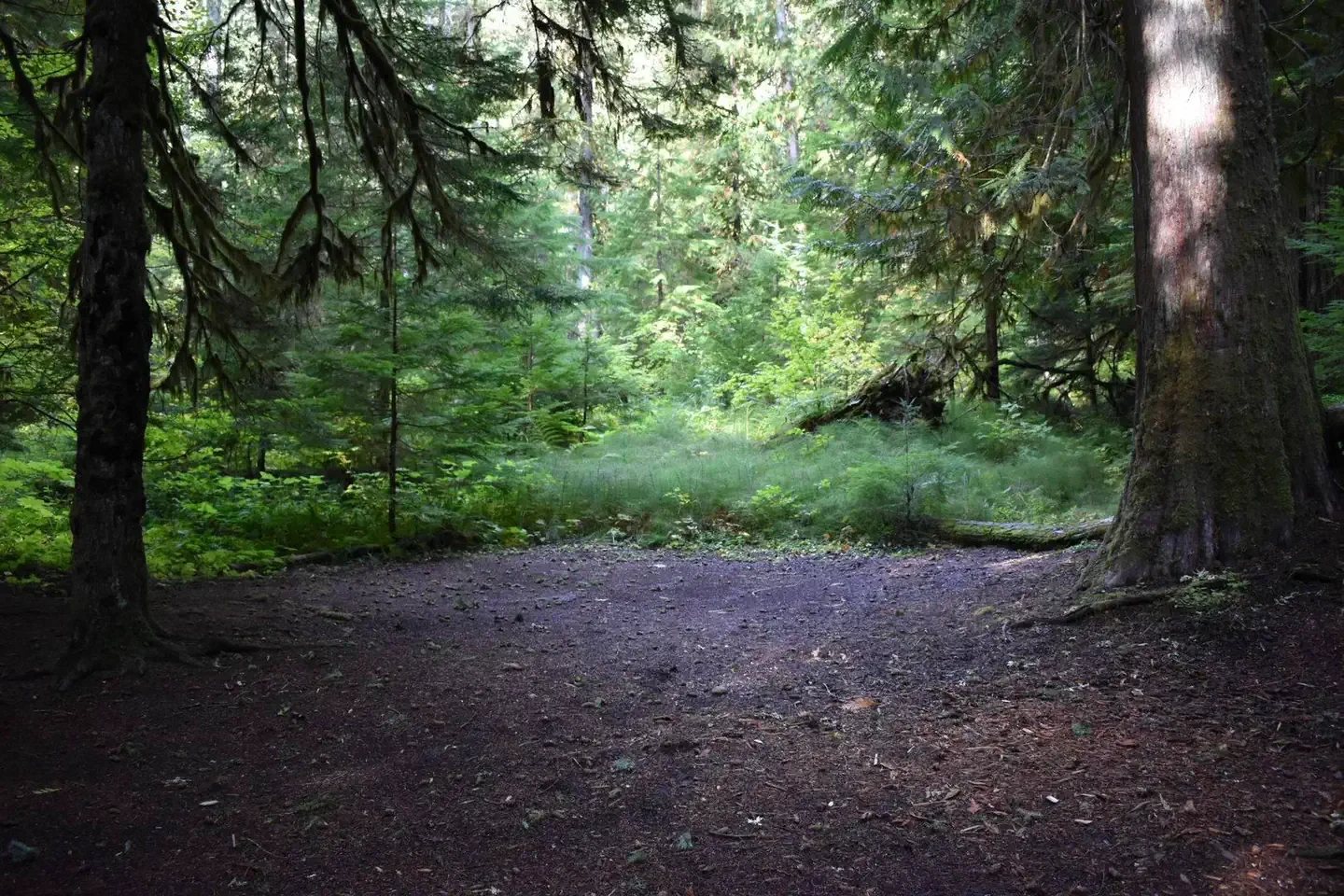 F001