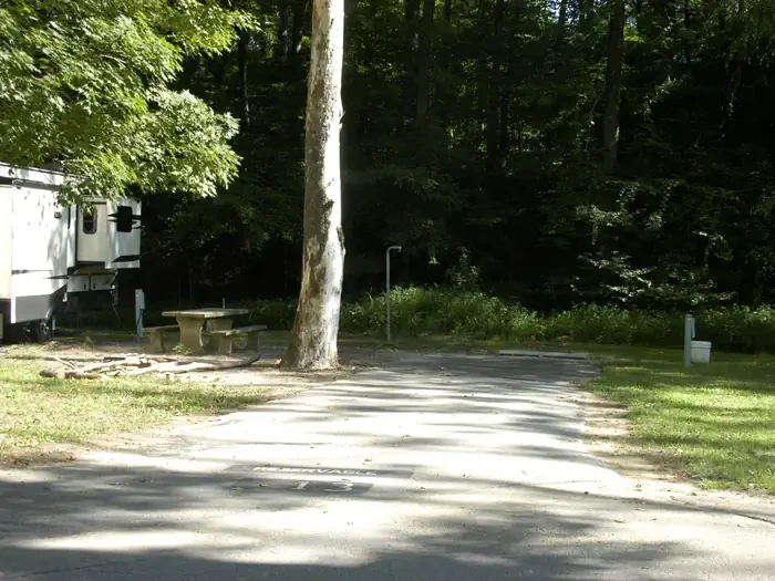 B13