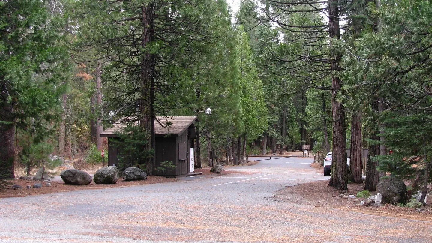 Pinecrest