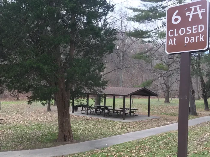 Picnic Grove 06 - 9:30AM to 1:30PM
