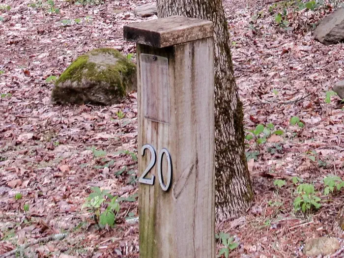 20