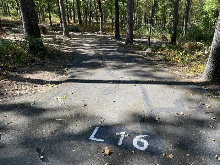 L16